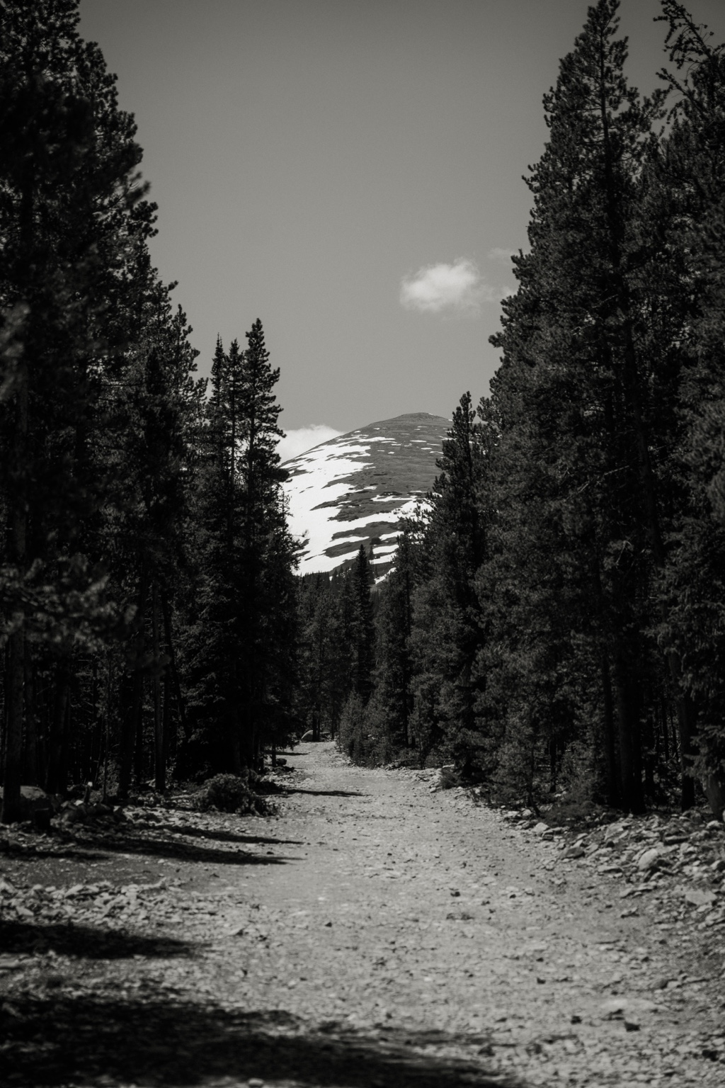 Black-and-white mountain trail