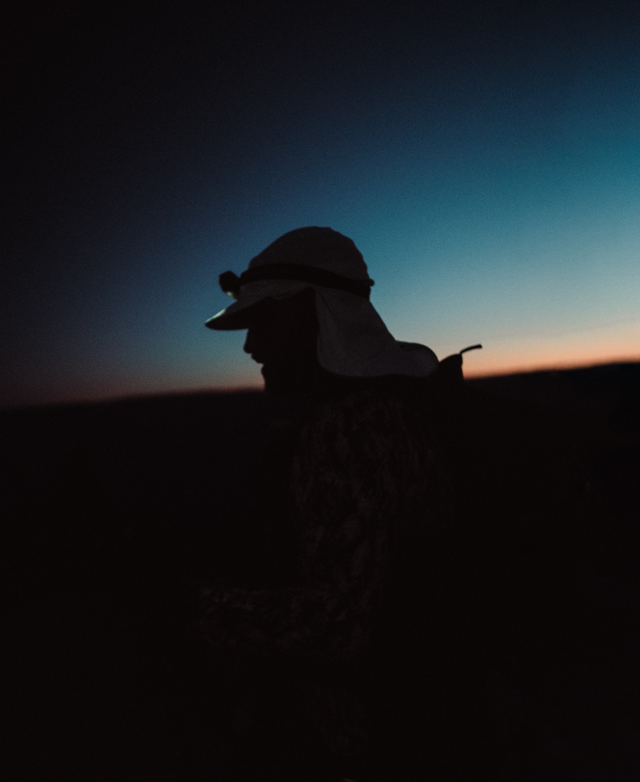 Figure silhouetted at dusk